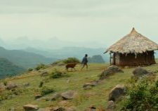 lamb_yared_zeleke_photo_ephraim_cabane lamb_yared_zeleke_photo_ephraim_cabane